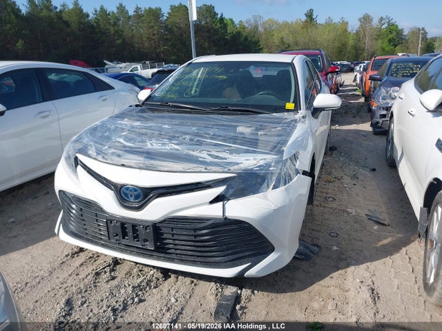 4T1B31HKXKU514134 Toyota CAMRY LE