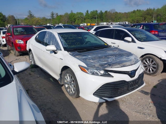 4T1B31HKXKU514134 Toyota CAMRY LE