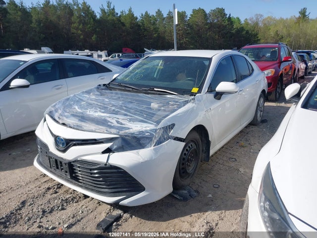 4T1B31HKXKU514134 Toyota CAMRY LE