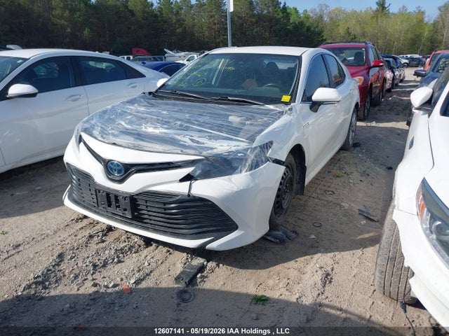 4T1B31HKXKU514134 Toyota CAMRY LE