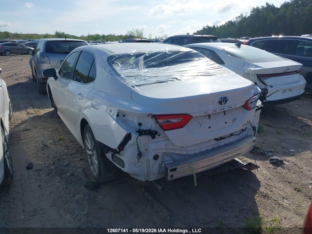 4T1B31HKXKU514134 Toyota CAMRY LE