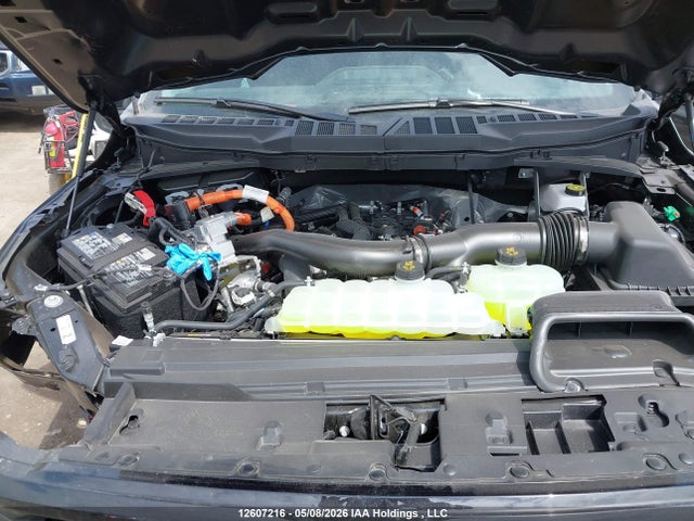 Aukcja sprzedaży 2026 Ford F150 Xlt, vin: 1FTFW3LD3TFA85216, numer aukcji: 12607216