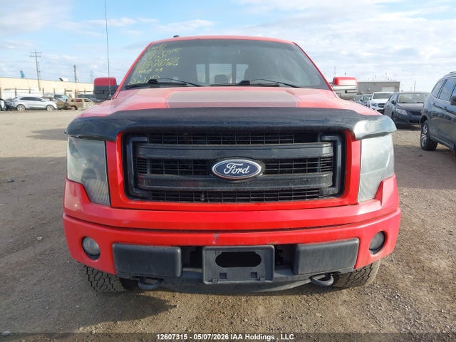 2013 Ford F-150 Fx4 მანქანა იყიდება აუქციონზე, vin: 1FTFW1EF0DFD59203, აუქციონის ნომერი: 12607315