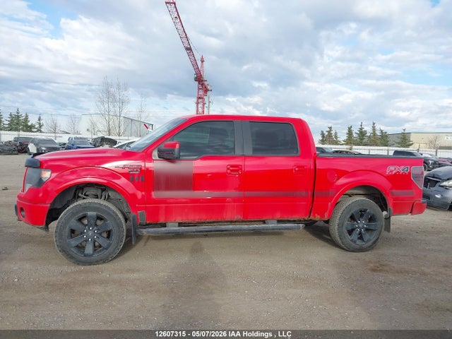 2013 Ford F-150 Fx4 მანქანა იყიდება აუქციონზე, vin: 1FTFW1EF0DFD59203, აუქციონის ნომერი: 12607315