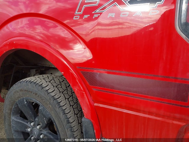 2013 Ford F-150 Fx4 მანქანა იყიდება აუქციონზე, vin: 1FTFW1EF0DFD59203, აუქციონის ნომერი: 12607315