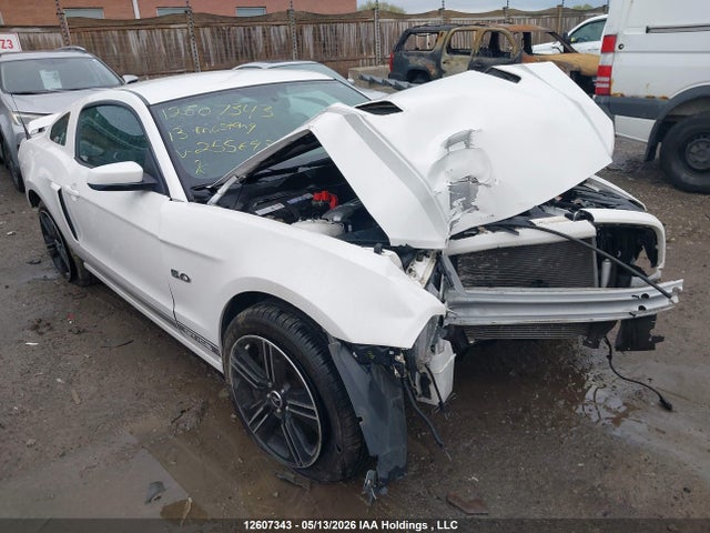 Продажа на аукционе авто 2013 Ford Mustang Gt, vin: 1ZVBP8CF2D5255693, номер лота: 12607343