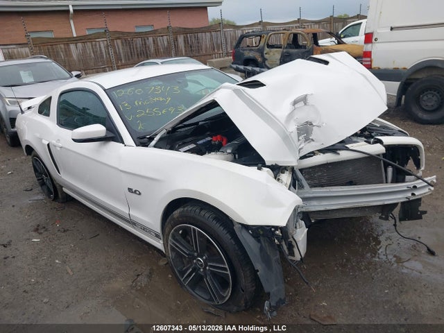 Продажа на аукционе авто 2013 Ford Mustang Gt, vin: 1ZVBP8CF2D5255693, номер лота: 12607343