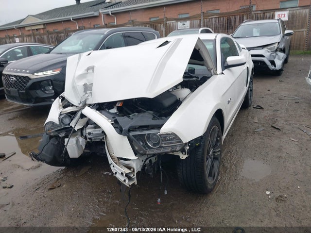 Продажа на аукционе авто 2013 Ford Mustang Gt, vin: 1ZVBP8CF2D5255693, номер лота: 12607343