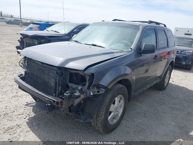 Продажа на аукционе авто 2011 Ford Escape Xlt Automatic, vin: 1FMCU0DG3BKA23252, номер лота: 12607349