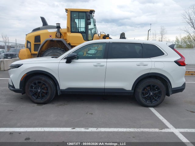2HKRS6H78RH216619 Honda CR-V EXL