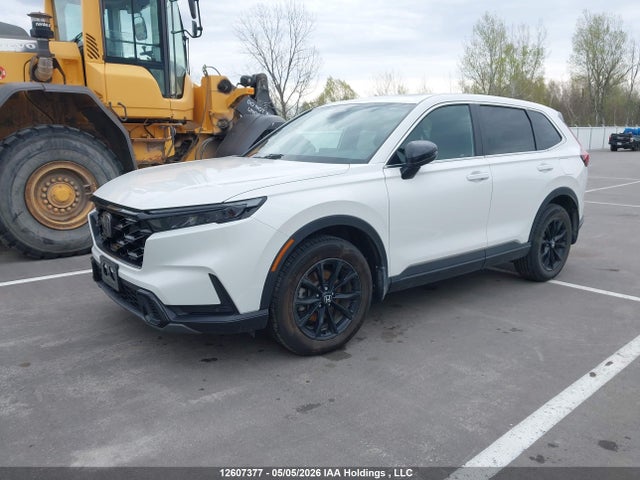 2HKRS6H78RH216619 Honda CR-V EXL