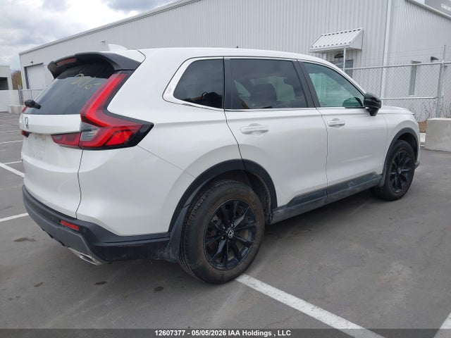 2HKRS6H78RH216619 Honda CR-V EXL