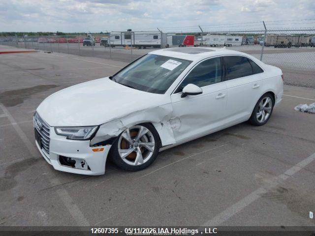 Продаж на аукціоні авто 2019 Audi A4 Allroad 45 Progressiv, vin: WAUBNAF41KN014177, номер лоту: 12607395