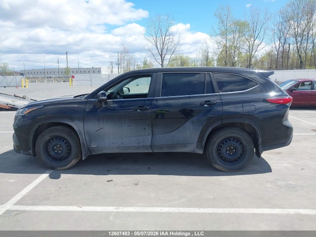 2023 Toyota Highlander Hybrid Le მანქანა იყიდება აუქციონზე, vin: 5TDBBRCH3PS127924, აუქციონის ნომერი: 12607483