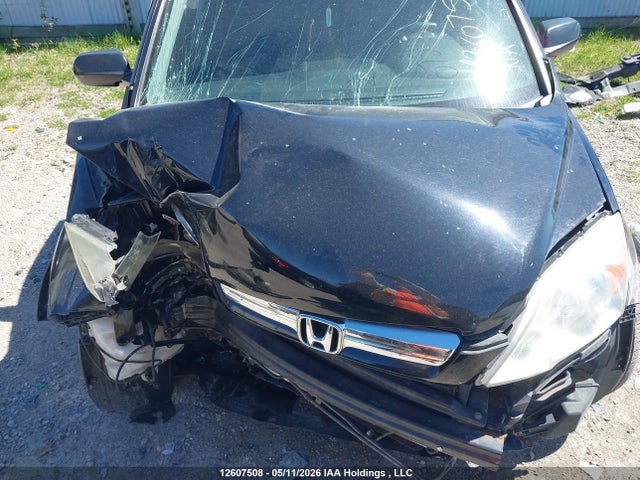 Продажа на аукционе авто 2007 Honda Cr-v, vin: 5J6RE485X7L816524, номер лота: 12607508