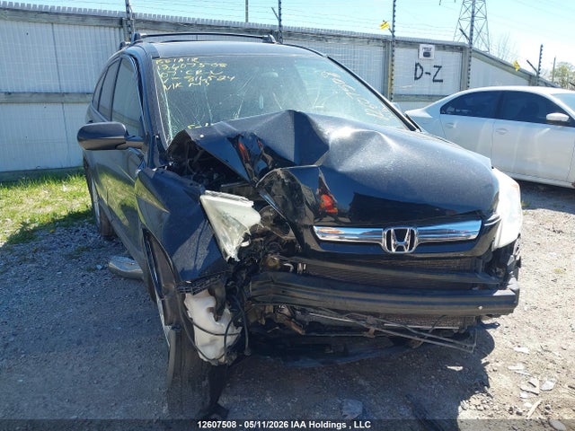 Продажа на аукционе авто 2007 Honda Cr-v, vin: 5J6RE485X7L816524, номер лота: 12607508