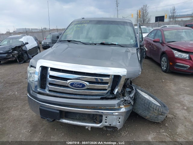 Продажа на аукционе авто 2010 Ford F-150 Stx/xl/xlt, vin: 1FTEX1E8XAFD81859, номер лота: 12607518