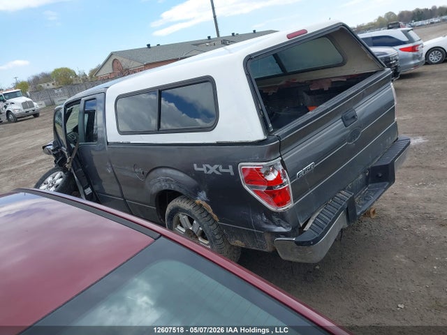Продажа на аукционе авто 2010 Ford F-150 Stx/xl/xlt, vin: 1FTEX1E8XAFD81859, номер лота: 12607518