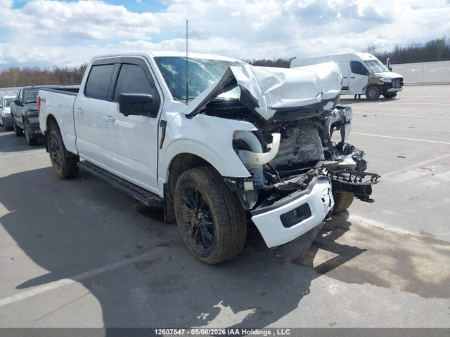 Ford F150 Xlt 2024 1FTFW3L83RFB55180 головне зображення