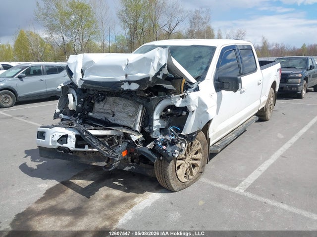 2024 Ford F150 Xlt მანქანა იყიდება აუქციონზე, vin: 1FTFW3L83RFB55180, აუქციონის ნომერი: 12607547