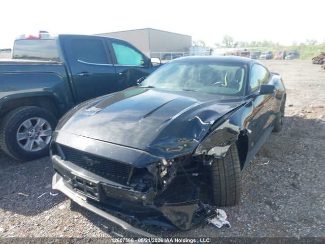 1FA6P8CF2L5159037 Ford Mustang