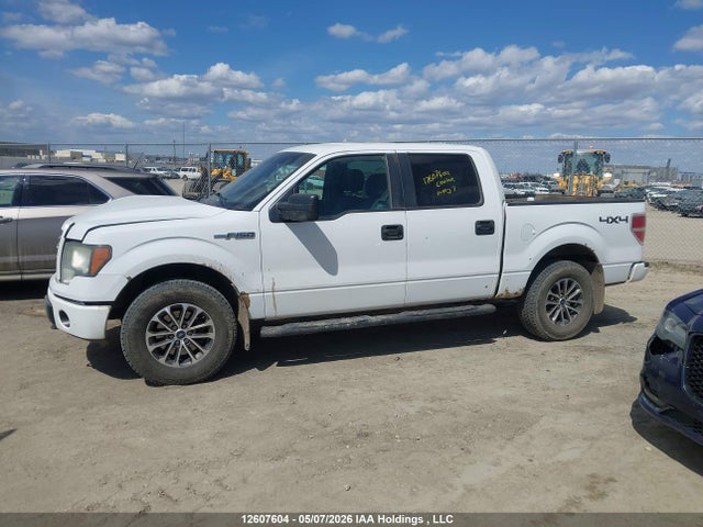1FTFW1EF0EKF48474 Ford F150 Supercrew