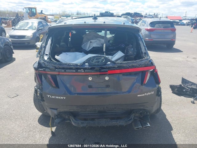 2025 Hyundai Tucson Sel Convenience მანქანა იყიდება აუქციონზე, vin: KM8JCDD15SU284612, აუქციონის ნომერი: 12607684