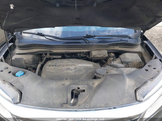 Продаж на аукціоні авто 2019 Honda Pilot, vin: 5FNYF6H64KB502026, номер лоту: 12607780