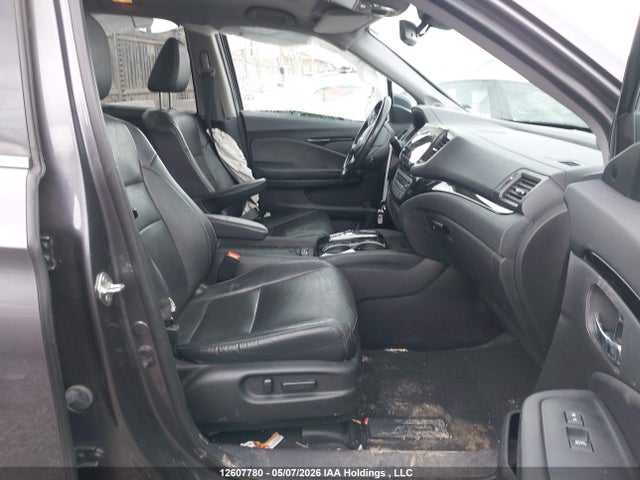 Продаж на аукціоні авто 2019 Honda Pilot, vin: 5FNYF6H64KB502026, номер лоту: 12607780