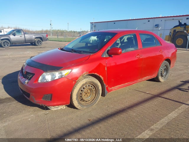 Продаж на аукціоні авто 2010 Toyota Corolla, vin: 2T1BU4EE6AC373673, номер лоту: 12607783