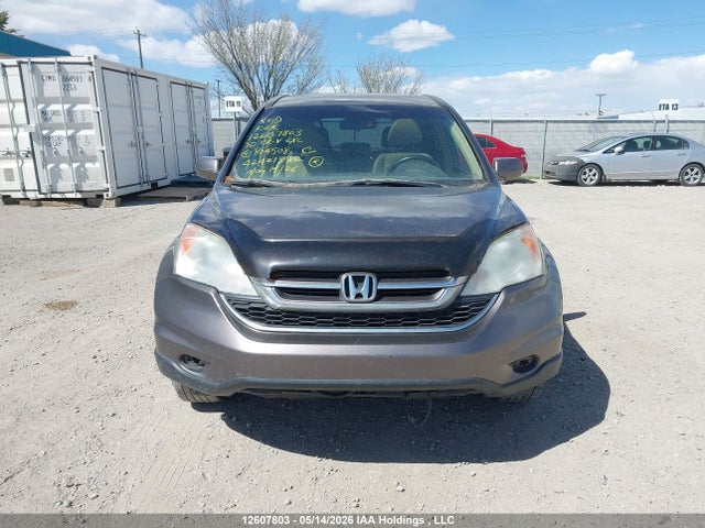 Aukcja sprzedaży 2010 Honda Cr-v Exl, vin: 5J6RE4H76AL804508, numer aukcji: 12607803