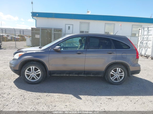 Aukcja sprzedaży 2010 Honda Cr-v Exl, vin: 5J6RE4H76AL804508, numer aukcji: 12607803