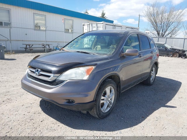 Aukcja sprzedaży 2010 Honda Cr-v Exl, vin: 5J6RE4H76AL804508, numer aukcji: 12607803