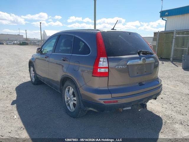 Aukcja sprzedaży 2010 Honda Cr-v Exl, vin: 5J6RE4H76AL804508, numer aukcji: 12607803