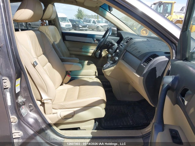 Aukcja sprzedaży 2010 Honda Cr-v Exl, vin: 5J6RE4H76AL804508, numer aukcji: 12607803