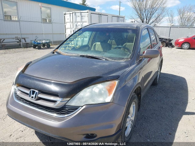 Aukcja sprzedaży 2010 Honda Cr-v Exl, vin: 5J6RE4H76AL804508, numer aukcji: 12607803