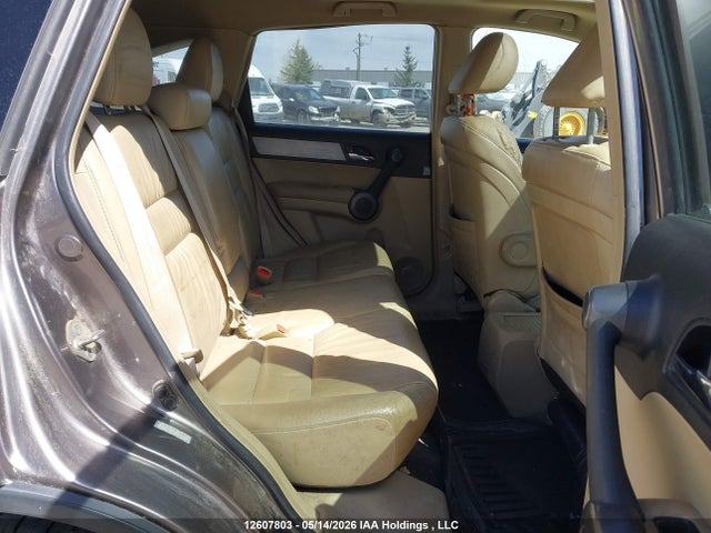 Aukcja sprzedaży 2010 Honda Cr-v Exl, vin: 5J6RE4H76AL804508, numer aukcji: 12607803