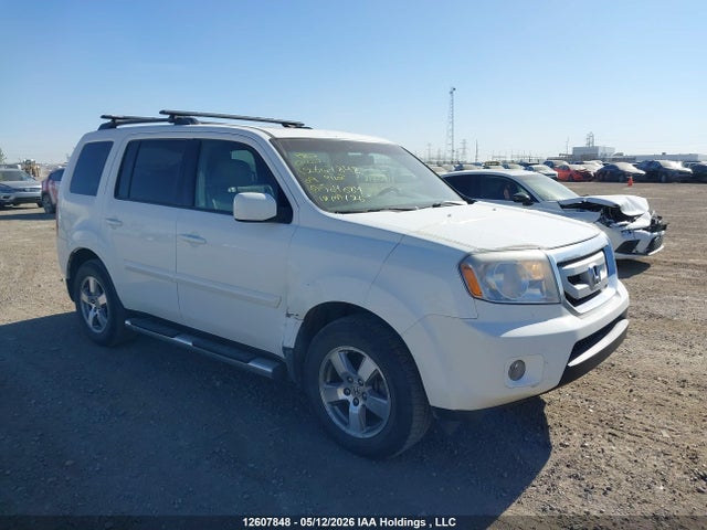 2009 Honda Pilot Ex-l მანქანა იყიდება აუქციონზე, vin: 5FNYF48599B504084, აუქციონის ნომერი: 12607848