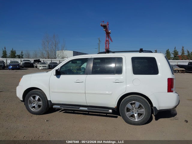Продаж на аукціоні авто 2009 Honda Pilot Ex-l, vin: 5FNYF48599B504084, номер лоту: 12607848