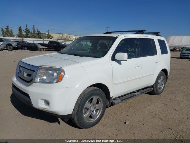 Продаж на аукціоні авто 2009 Honda Pilot Ex-l, vin: 5FNYF48599B504084, номер лоту: 12607848
