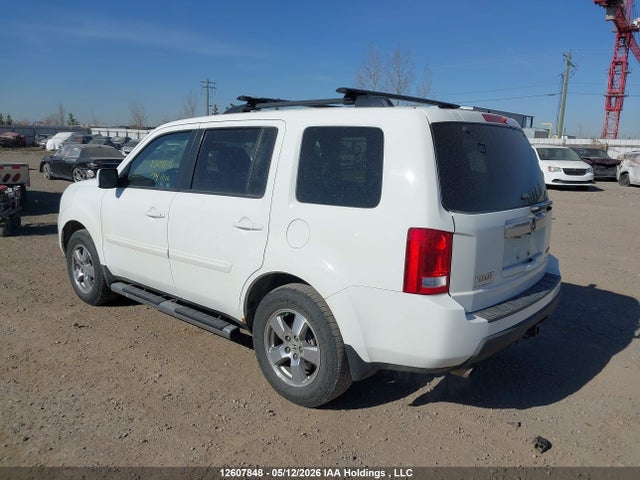 Продаж на аукціоні авто 2009 Honda Pilot Ex-l, vin: 5FNYF48599B504084, номер лоту: 12607848