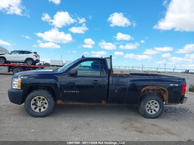 2011 Chevrolet Silverado K1500 მანქანა იყიდება აუქციონზე, vin: 1GCNKPEA9BZ426293, აუქციონის ნომერი: 12607866