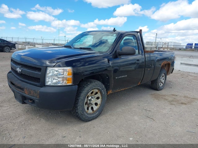 2011 Chevrolet Silverado K1500 მანქანა იყიდება აუქციონზე, vin: 1GCNKPEA9BZ426293, აუქციონის ნომერი: 12607866
