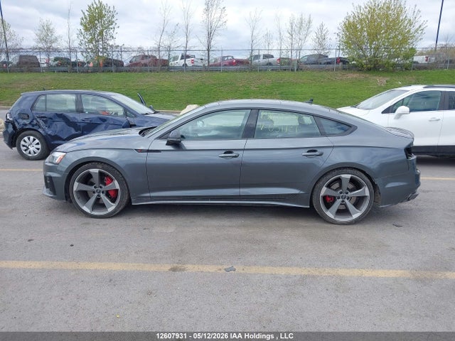 2024 Audi A5 45 Progressiv მანქანა იყიდება აუქციონზე, vin: WAUFACF53RA031131, აუქციონის ნომერი: 12607931