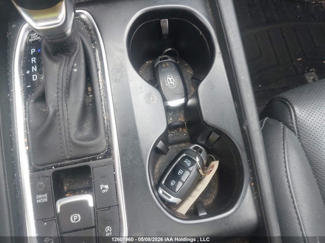 5NMS3CAD7LH245112 Hyundai Santa Fe
