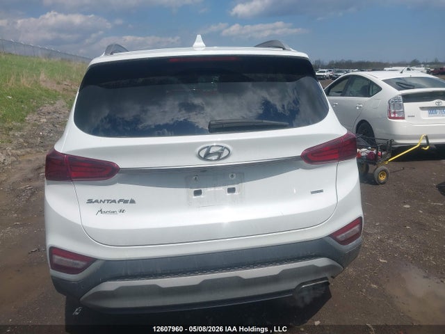 5NMS3CAD7LH245112 Hyundai Santa Fe