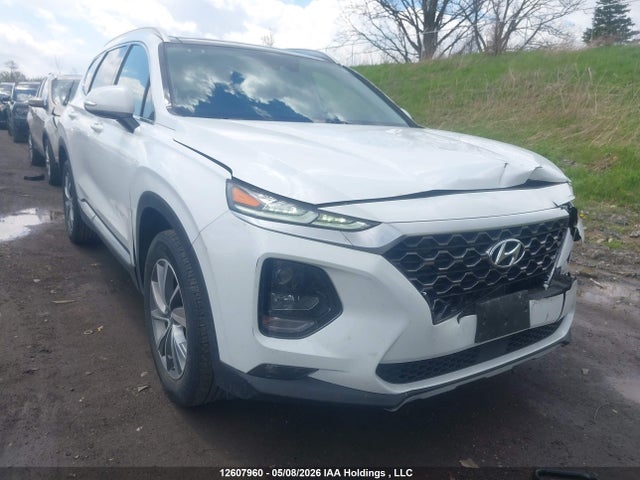 5NMS3CAD7LH245112 Hyundai Santa Fe