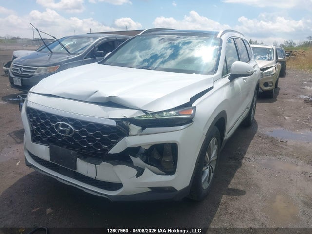 5NMS3CAD7LH245112 Hyundai Santa Fe