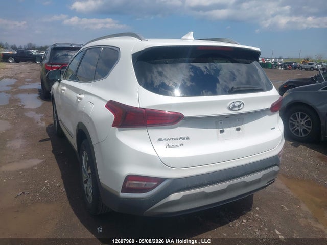 5NMS3CAD7LH245112 Hyundai Santa Fe