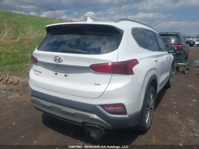 5NMS3CAD7LH245112 Hyundai Santa Fe